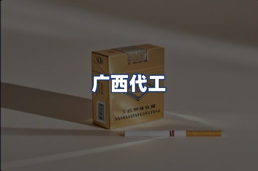 广西代工